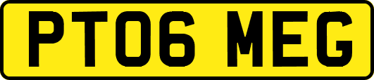 PT06MEG