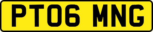PT06MNG