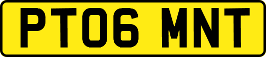 PT06MNT