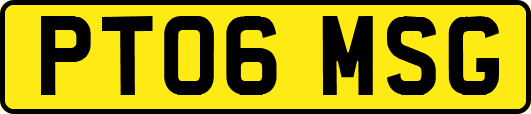 PT06MSG