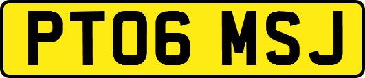 PT06MSJ