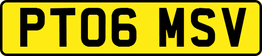 PT06MSV