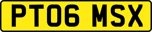 PT06MSX