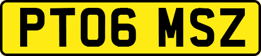 PT06MSZ