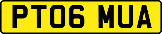 PT06MUA