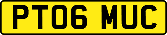 PT06MUC