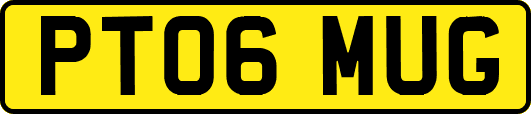 PT06MUG