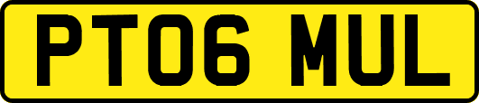 PT06MUL
