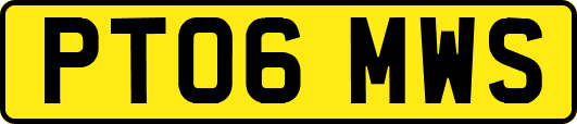 PT06MWS