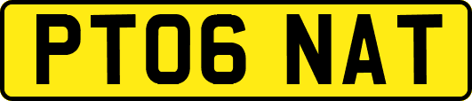 PT06NAT