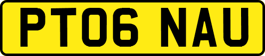 PT06NAU