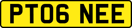 PT06NEE
