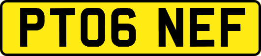 PT06NEF