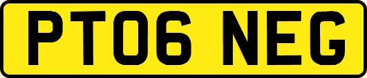 PT06NEG