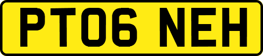 PT06NEH