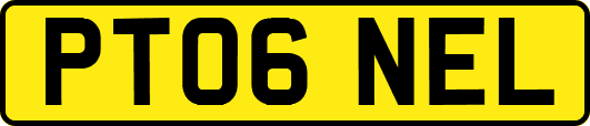 PT06NEL