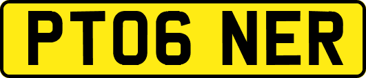 PT06NER