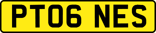PT06NES
