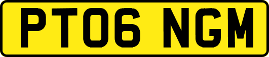 PT06NGM