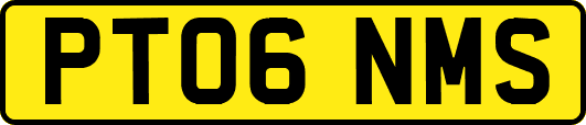 PT06NMS