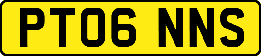 PT06NNS