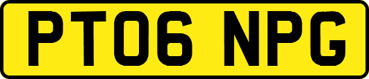 PT06NPG