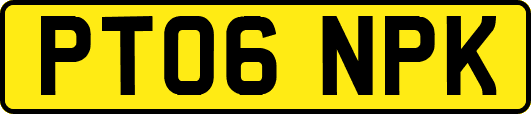 PT06NPK