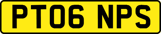 PT06NPS