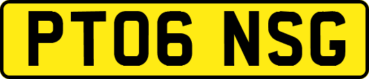 PT06NSG