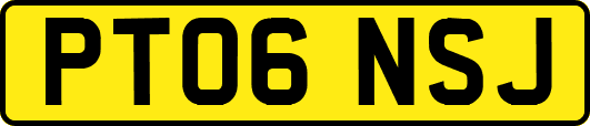 PT06NSJ