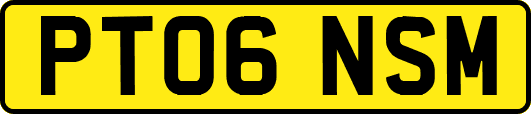 PT06NSM