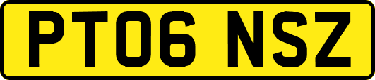 PT06NSZ