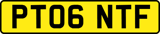 PT06NTF