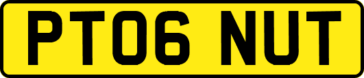 PT06NUT