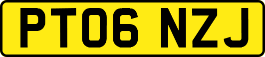 PT06NZJ