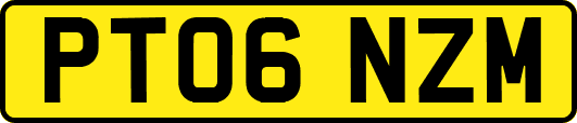 PT06NZM