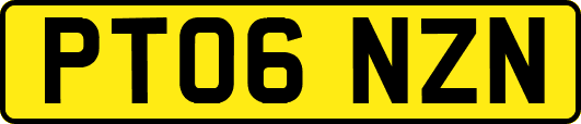 PT06NZN