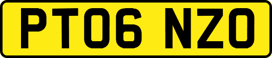 PT06NZO