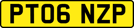 PT06NZP