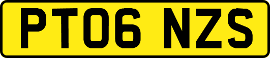 PT06NZS