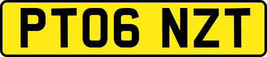 PT06NZT