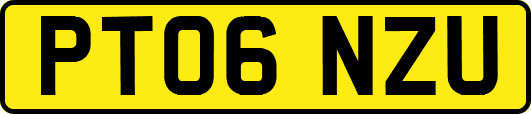 PT06NZU