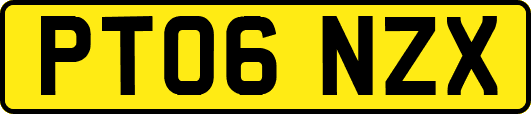 PT06NZX