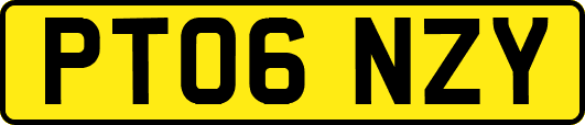 PT06NZY