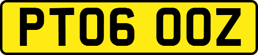 PT06OOZ