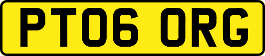 PT06ORG