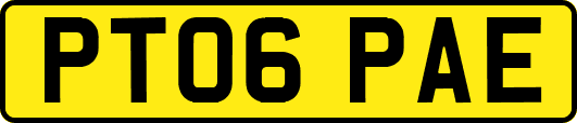 PT06PAE