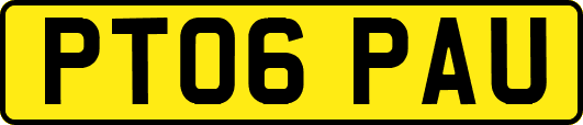 PT06PAU