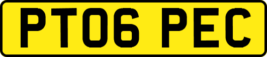 PT06PEC