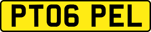 PT06PEL